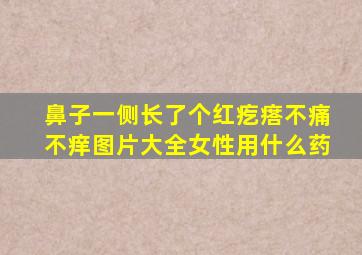 鼻子一侧长了个红疙瘩不痛不痒图片大全女性用什么药