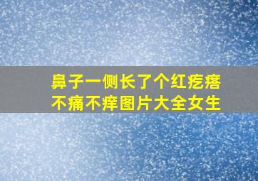 鼻子一侧长了个红疙瘩不痛不痒图片大全女生