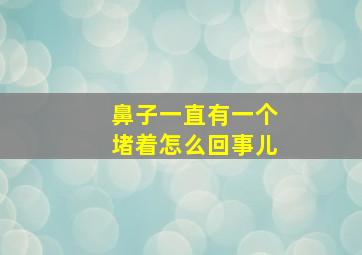 鼻子一直有一个堵着怎么回事儿