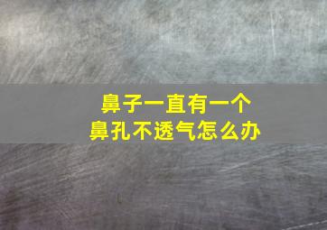 鼻子一直有一个鼻孔不透气怎么办