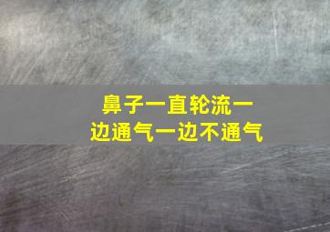 鼻子一直轮流一边通气一边不通气