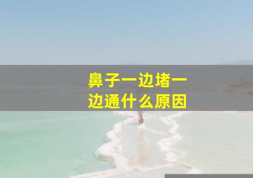 鼻子一边堵一边通什么原因