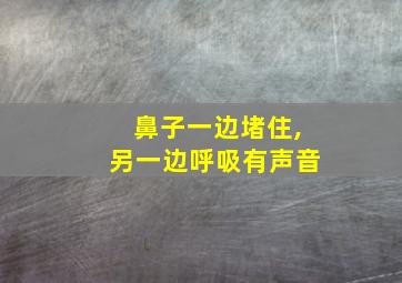 鼻子一边堵住,另一边呼吸有声音