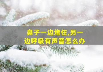 鼻子一边堵住,另一边呼吸有声音怎么办