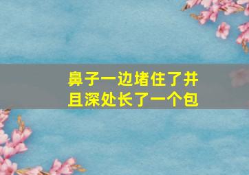 鼻子一边堵住了并且深处长了一个包