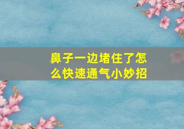 鼻子一边堵住了怎么快速通气小妙招