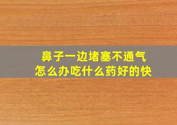 鼻子一边堵塞不通气怎么办吃什么药好的快