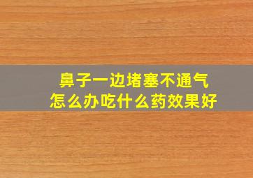 鼻子一边堵塞不通气怎么办吃什么药效果好