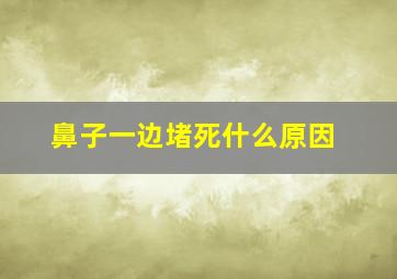 鼻子一边堵死什么原因