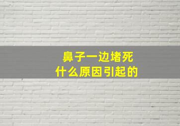 鼻子一边堵死什么原因引起的