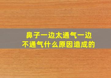 鼻子一边太通气一边不通气什么原因造成的