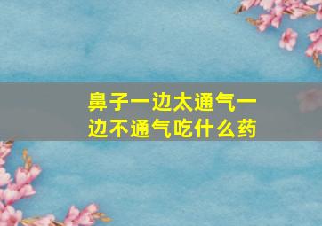 鼻子一边太通气一边不通气吃什么药