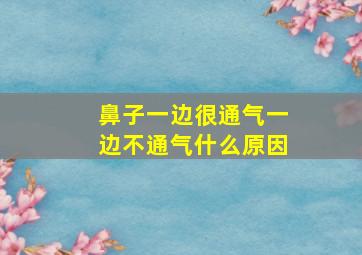 鼻子一边很通气一边不通气什么原因