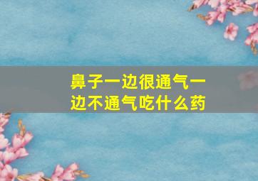 鼻子一边很通气一边不通气吃什么药