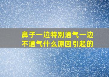 鼻子一边特别通气一边不通气什么原因引起的