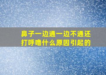 鼻子一边通一边不通还打呼噜什么原因引起的