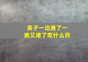 鼻子一边通了一遍又堵了吃什么药