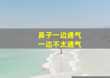 鼻子一边通气一边不太通气