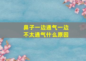 鼻子一边通气一边不太通气什么原因