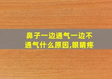 鼻子一边通气一边不通气什么原因,眼睛疼