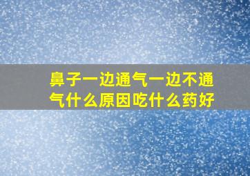 鼻子一边通气一边不通气什么原因吃什么药好