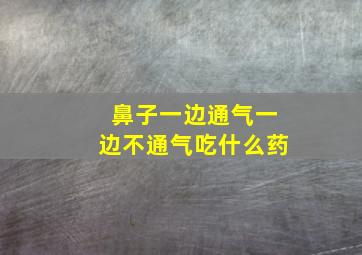 鼻子一边通气一边不通气吃什么药