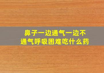 鼻子一边通气一边不通气呼吸困难吃什么药