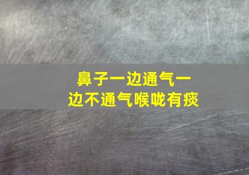 鼻子一边通气一边不通气喉咙有痰