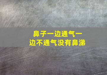 鼻子一边通气一边不通气没有鼻涕