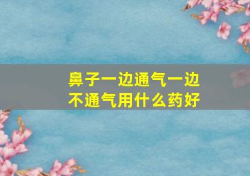 鼻子一边通气一边不通气用什么药好