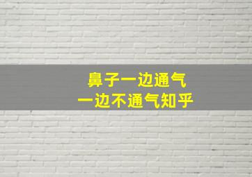 鼻子一边通气一边不通气知乎