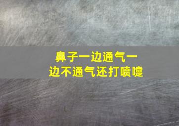 鼻子一边通气一边不通气还打喷嚏