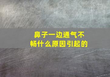 鼻子一边通气不畅什么原因引起的