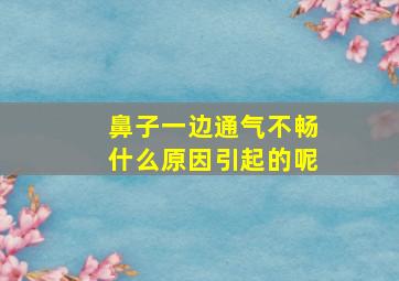 鼻子一边通气不畅什么原因引起的呢