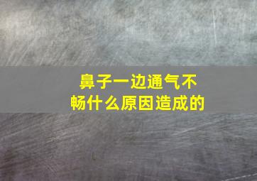 鼻子一边通气不畅什么原因造成的