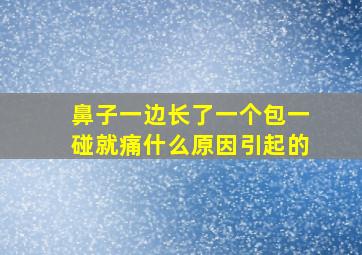 鼻子一边长了一个包一碰就痛什么原因引起的