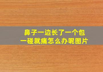 鼻子一边长了一个包一碰就痛怎么办呢图片