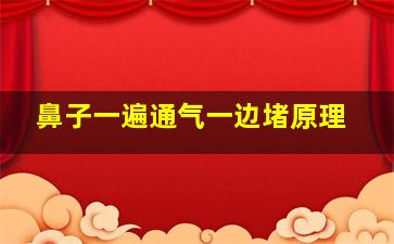 鼻子一遍通气一边堵原理