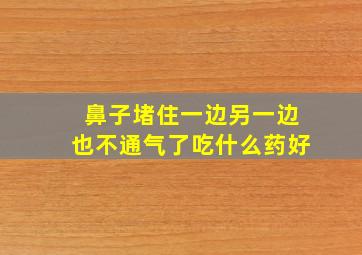 鼻子堵住一边另一边也不通气了吃什么药好