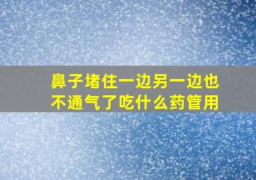 鼻子堵住一边另一边也不通气了吃什么药管用