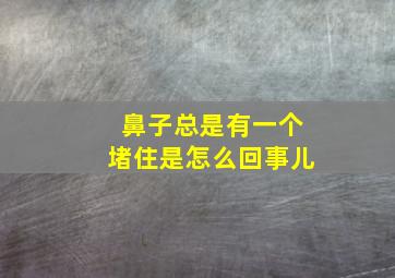 鼻子总是有一个堵住是怎么回事儿