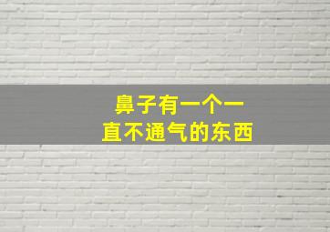 鼻子有一个一直不通气的东西