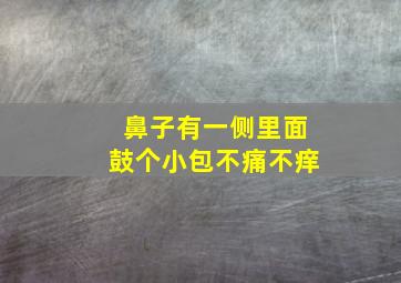 鼻子有一侧里面鼓个小包不痛不痒