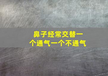 鼻子经常交替一个通气一个不通气