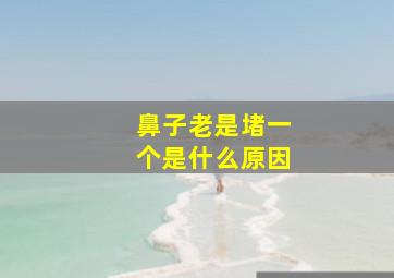 鼻子老是堵一个是什么原因