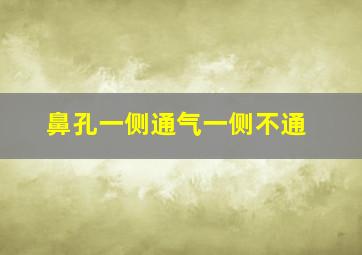 鼻孔一侧通气一侧不通