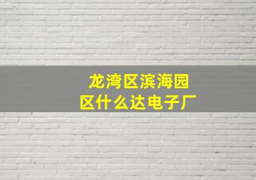 龙湾区滨海园区什么达电子厂