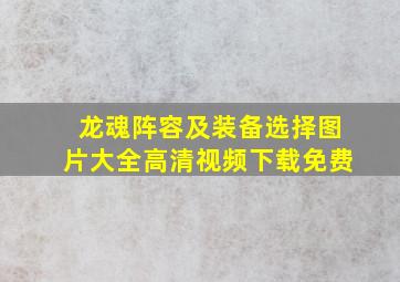 龙魂阵容及装备选择图片大全高清视频下载免费